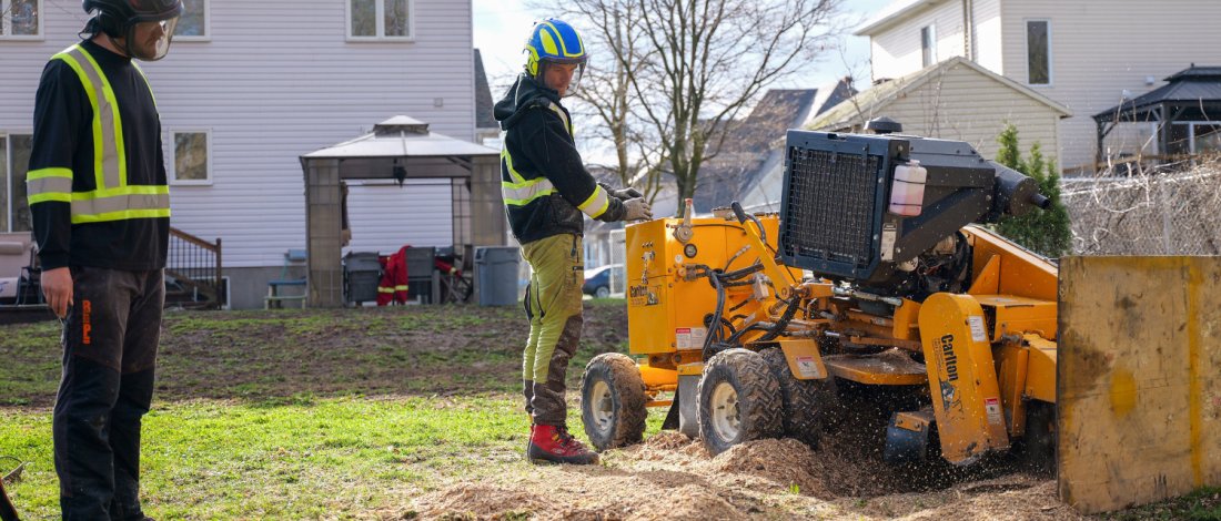 Stump Removal – Tree Service | Arbo MTL
