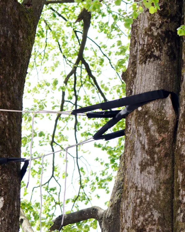 Bracing & Cabling ArboMTL