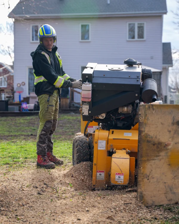Stump Removal ArboMTL