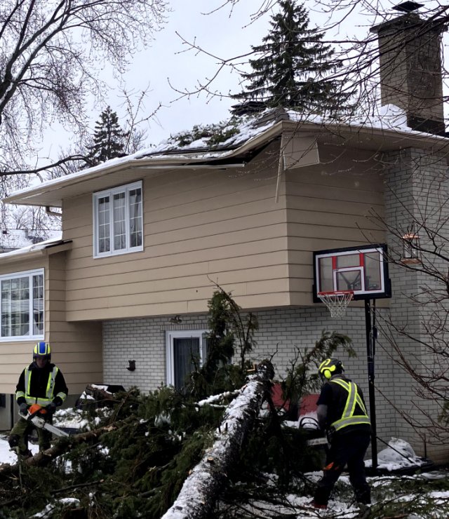 Tree damage emergency in west island of montreal team removing a tree that fell on house