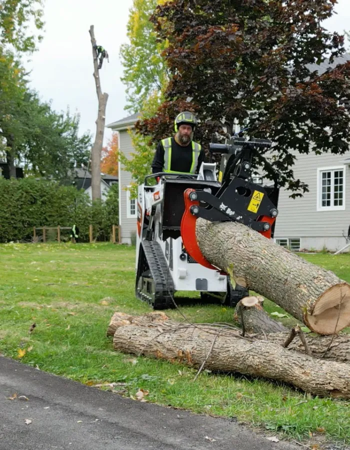 Dorval tree cutting removal arbo mtl Screen Shot of video 2022 Dorval ArboMTL