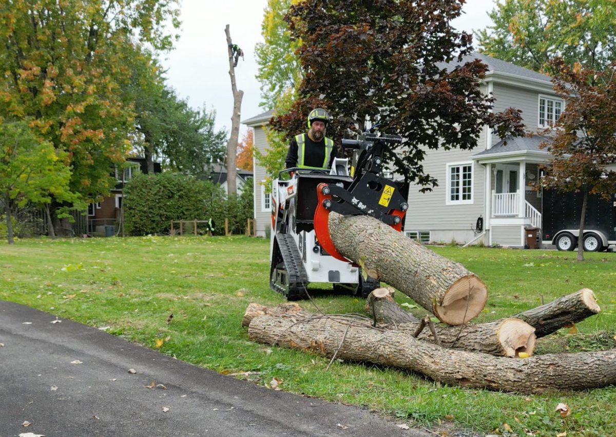 Dorval tree cutting removal arbo mtl Screen Shot of video 2022 Arbo MTL