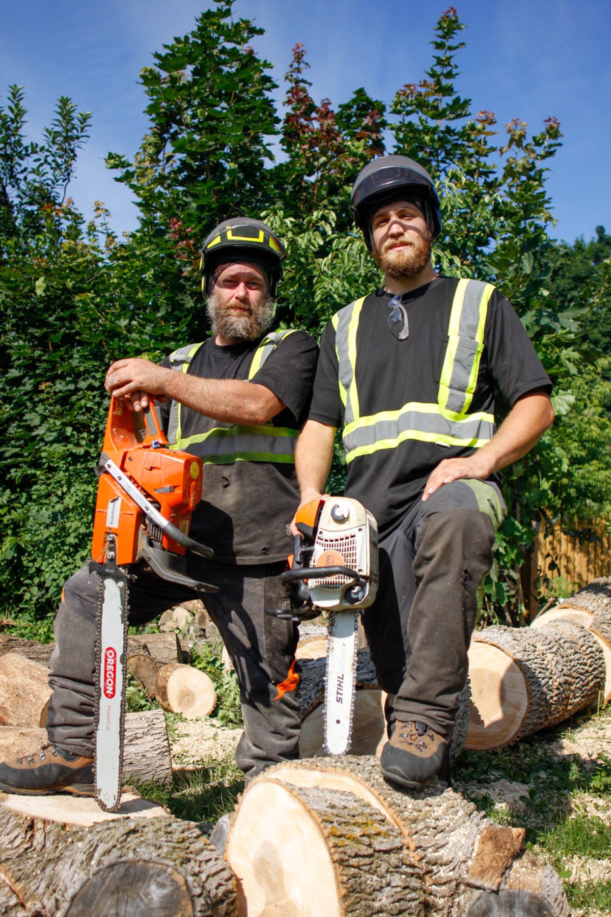 Mateo tree july 2022 3 group Arbo MTL